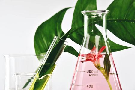 天然有机提取物和中药的绿色叶子,花香味精华解决方案在实验室照片